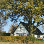 Natuurhuisje in Hoenderloo