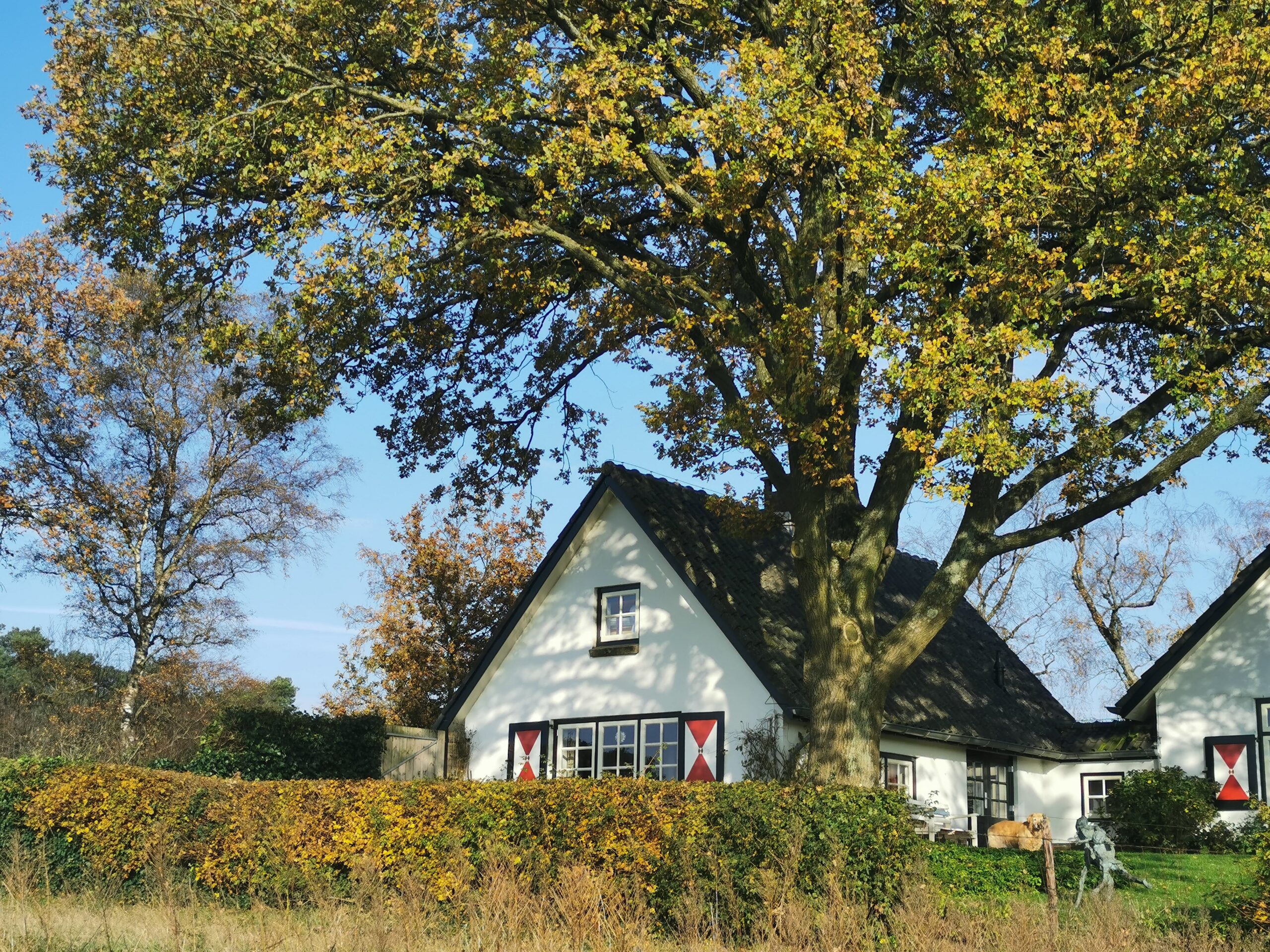 Natuurhuisje in Hoenderloo