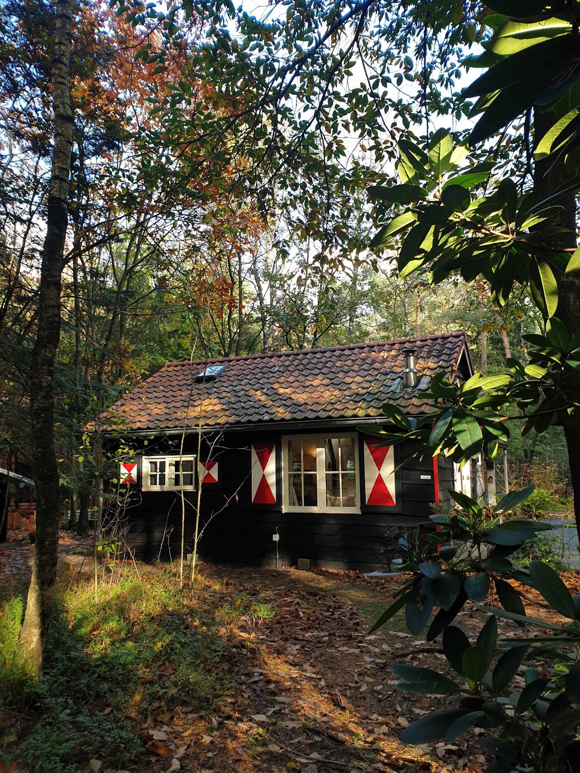 Natuurhuisje in Emst